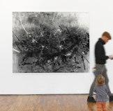 o. T. (nest), 2017, Kohle auf Papier, 175 x 220 cm