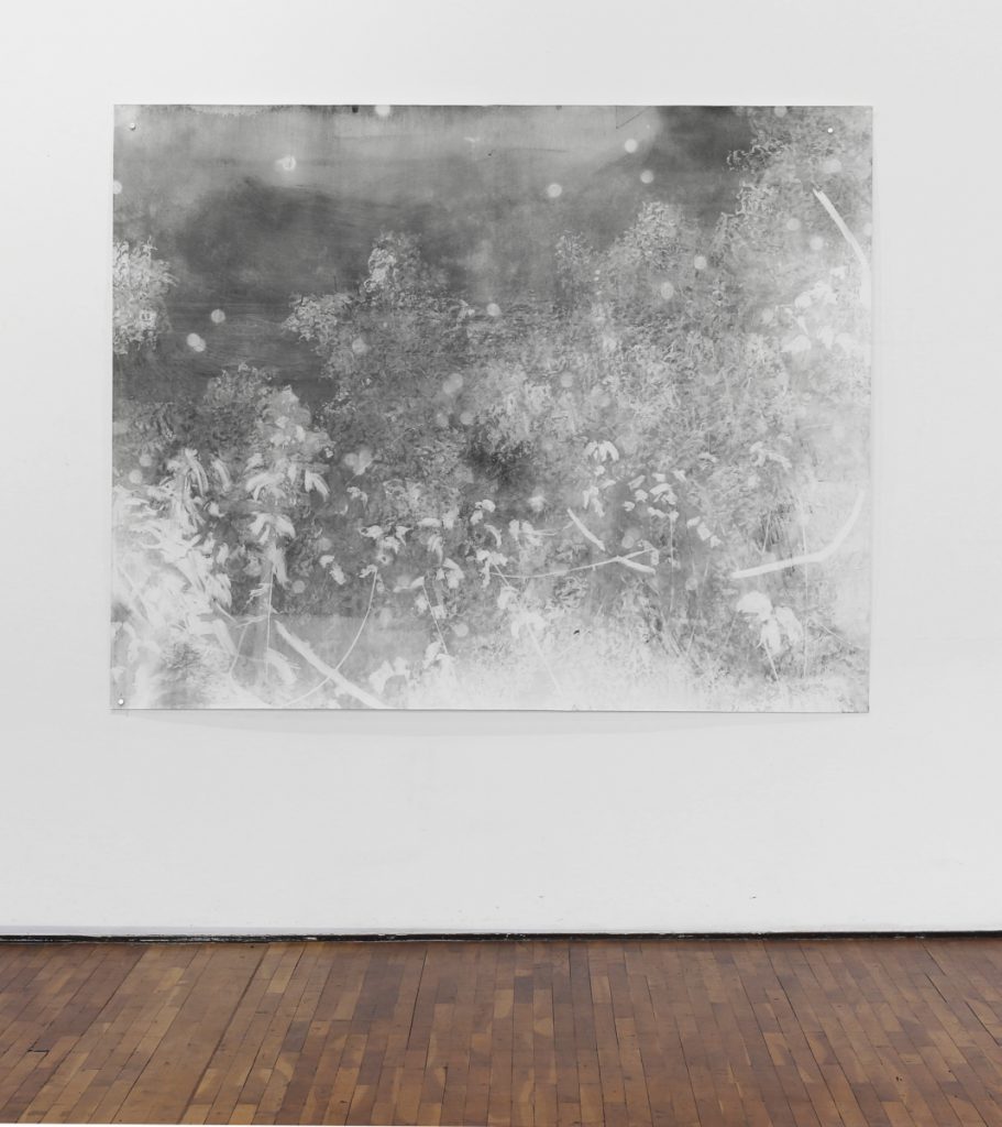 KLEINE KÖRPER (2014) Kohle auf Papier 218 x 220 cm